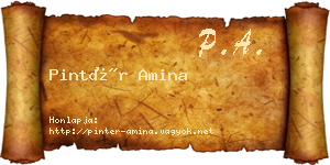 Pintér Amina névjegykártya
