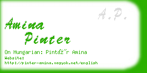 amina pinter business card